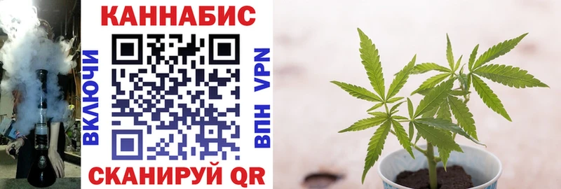 Как найти наркотики Донецк Альфа ПВП  Меф  ГАШ  Бошки Шишки 