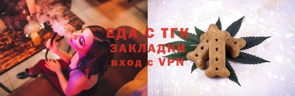 ECSTASY Богданович