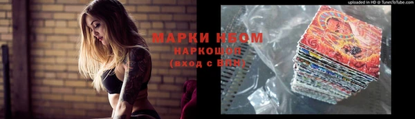 гашик Богородицк