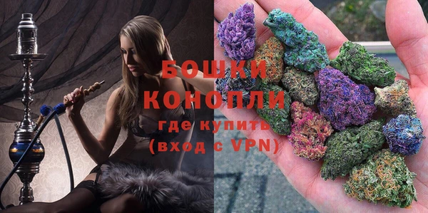 гашик Богородицк