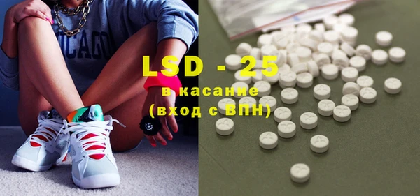 ECSTASY Богданович
